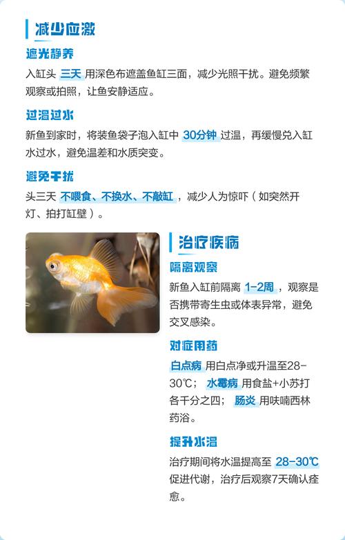 新鱼入缸趴缸怎么回事