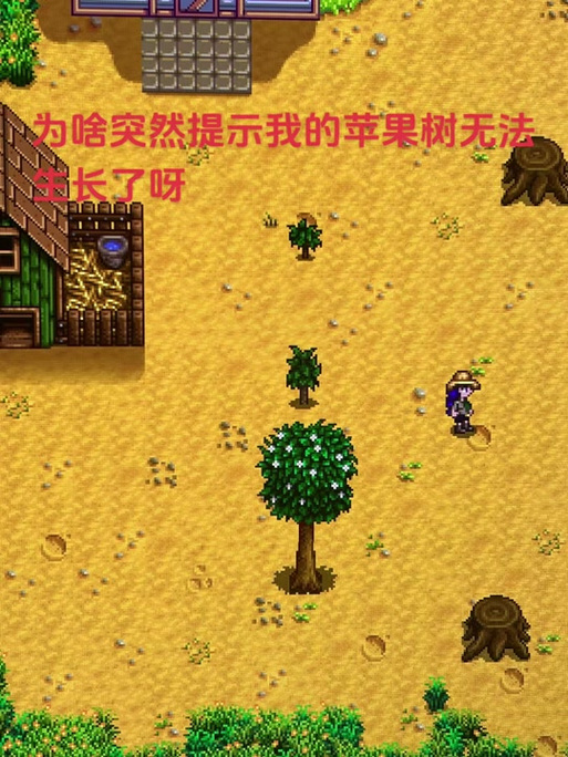 为什么苹果下不了星露谷物语