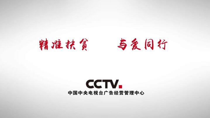 央视广告精准扶贫图标
