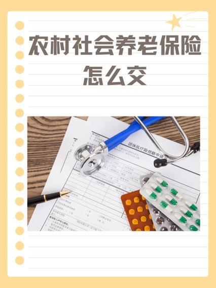 社区养老保险怎么交