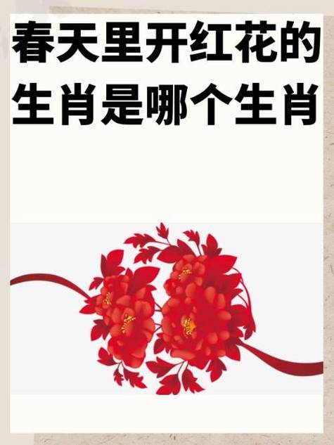 今期生肖定南方