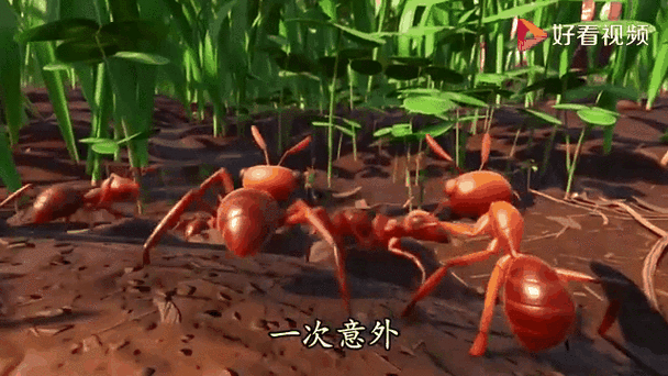 我被缩小了游戏下载