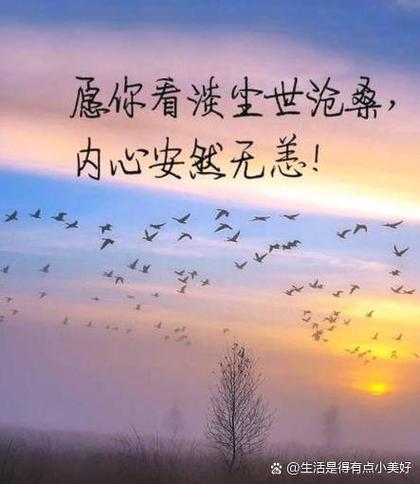 人生经历感悟