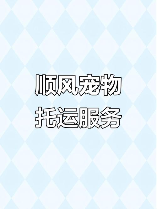 顺风宠必达