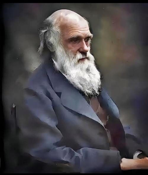 画我的世界人物图片