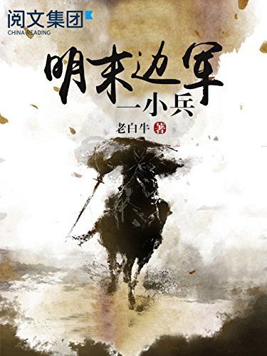 穿越国民党小兵的小说截图