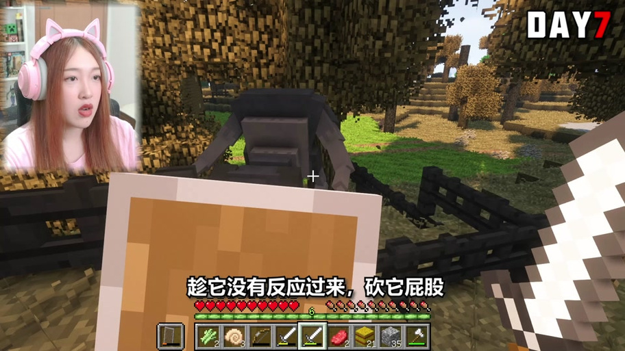 南瓜畸变100天