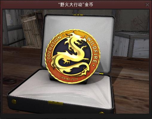胸章csgo有啥用