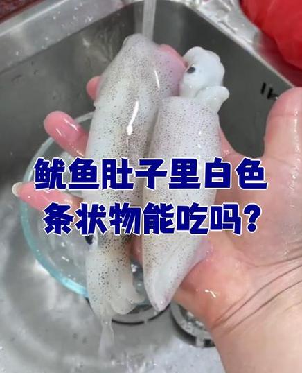 目鱼是鱿鱼吗