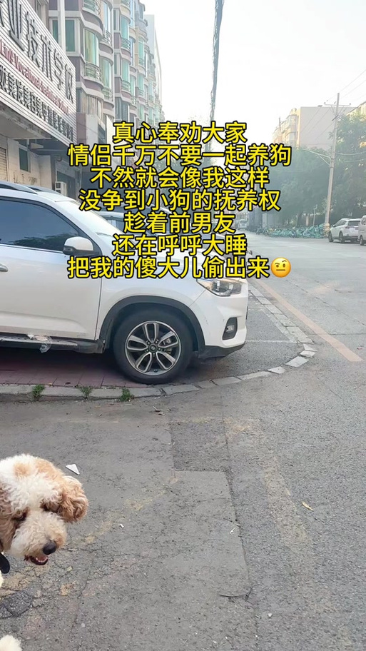 抖音养狗搞笑叫啥