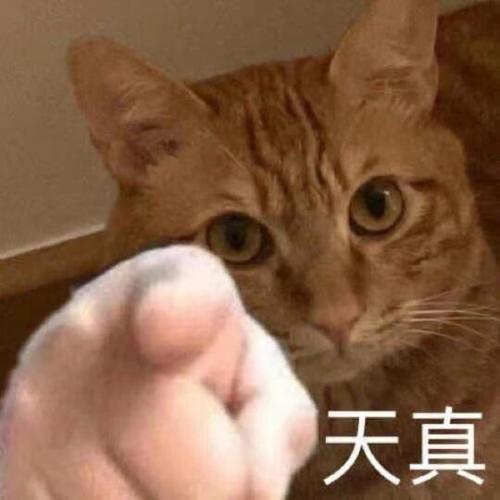 小仓鼠指人的表情包