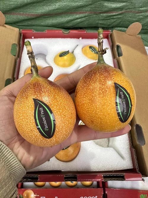 马拉特今天比赛结果