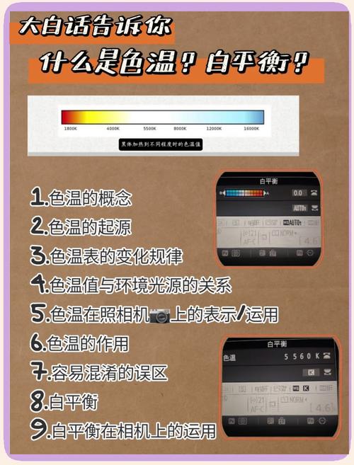 尼康色温怎么设置图标