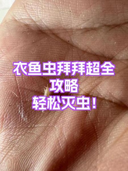 消灭衣鱼虫的6个妙招