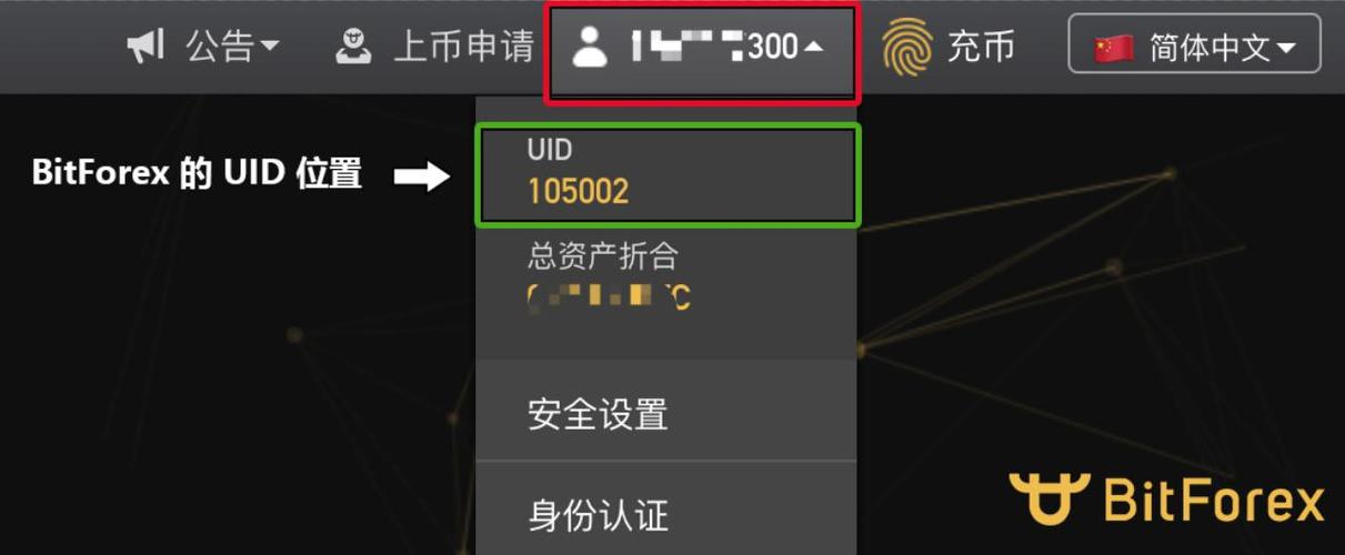 星火矿池是中国的吗
