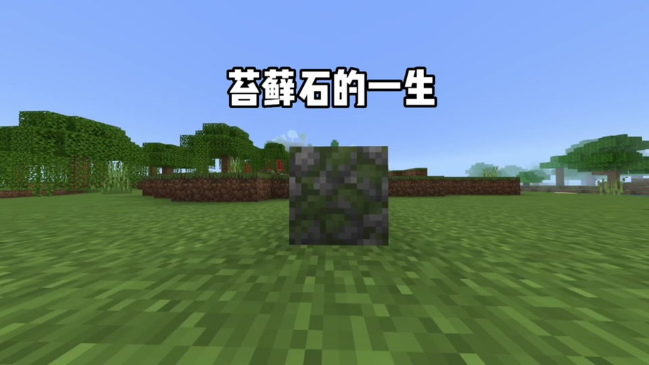 mc苔藓块