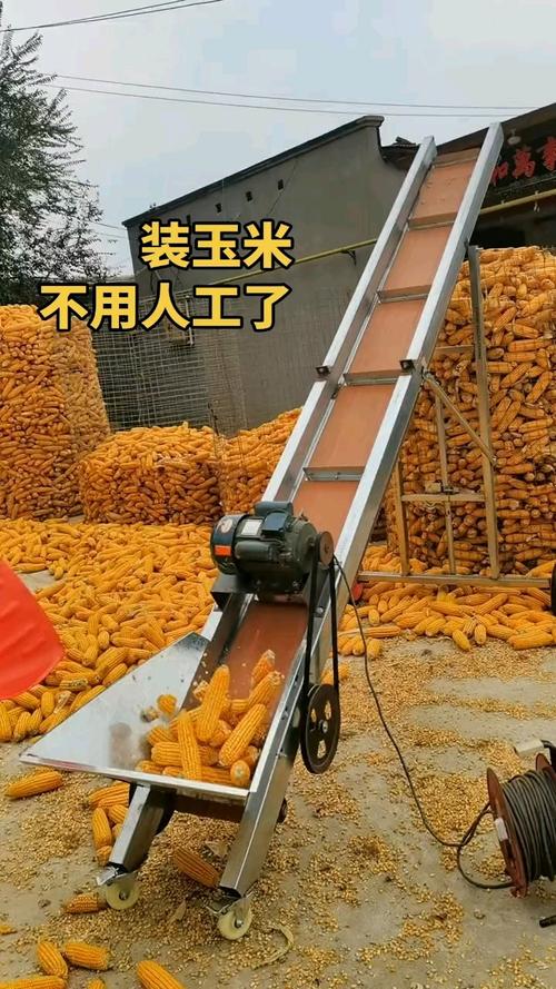 玉米是什么软件