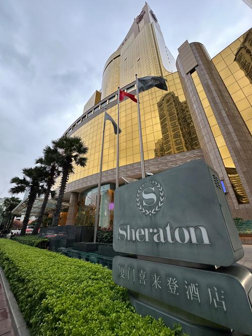 爱奇艺会员号能登几个