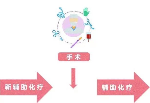 新辅助MP分级2级好吗