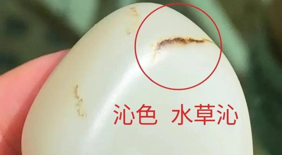 跟团游新疆买玉靠谱吗截图