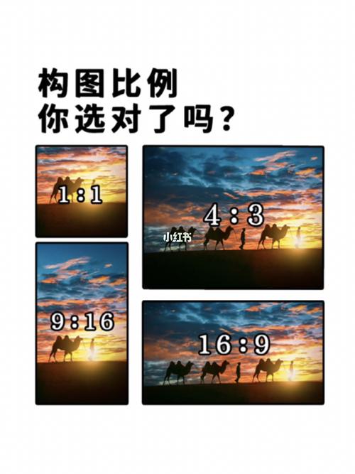 ps如何按比例缩放图片