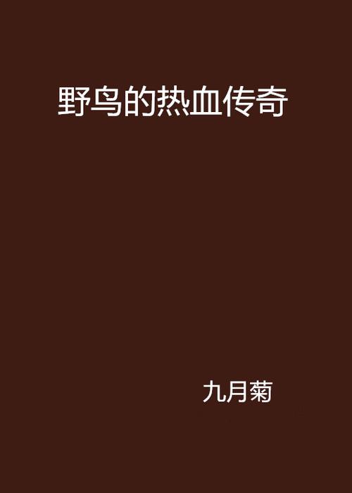 野鸟小说免费阅读
