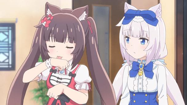 猫娘心声