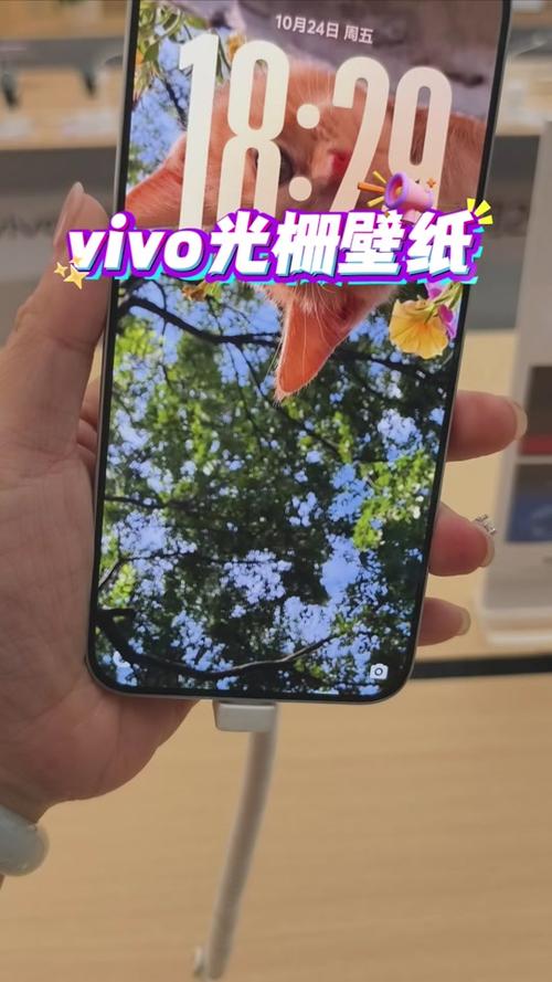 iqoo的锁屏壁纸怎么换