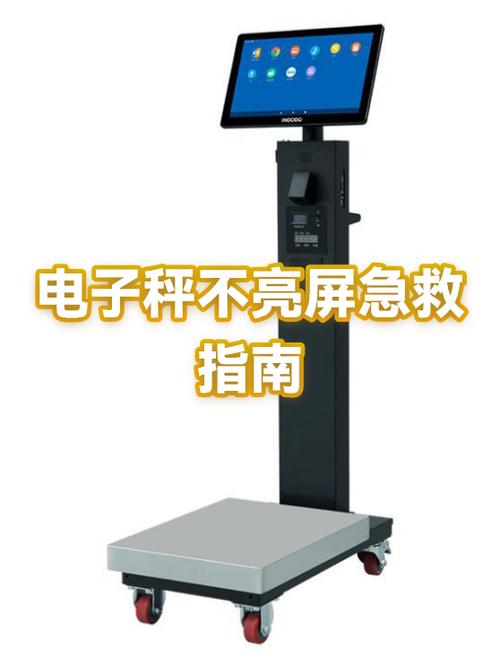电子秤怎么突然不亮了