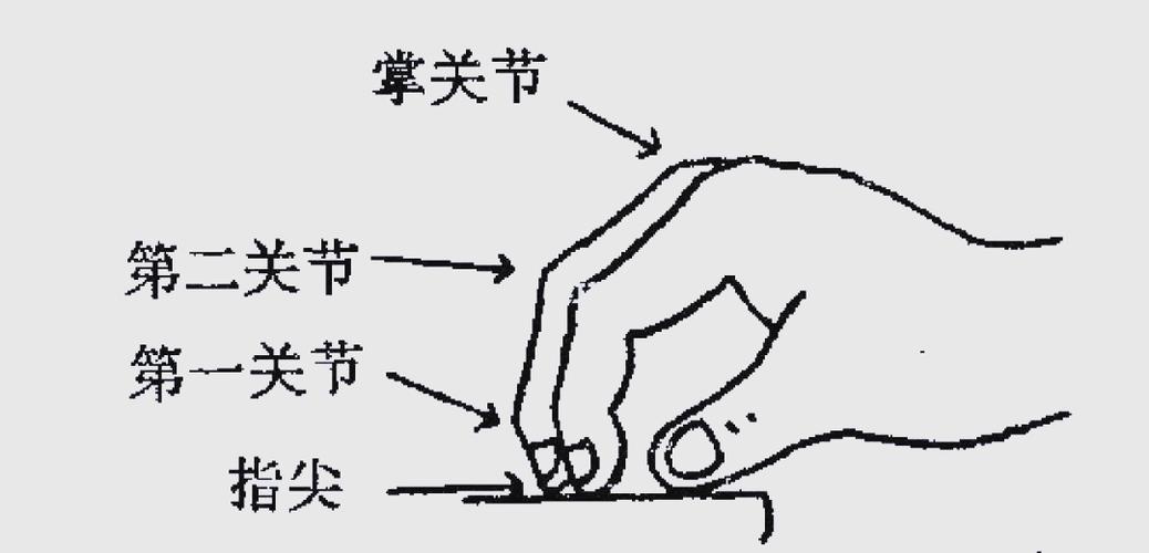 弹钢琴指法手型图