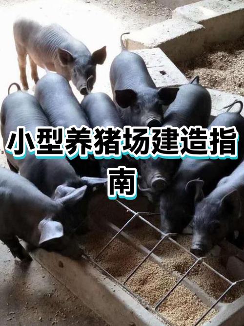 小型养猪场怎么建设截图