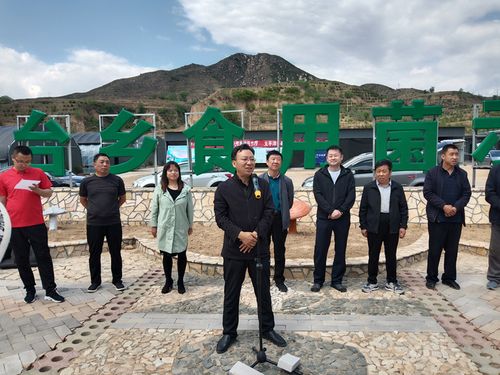 山西新闻灵丘边台游戏截图