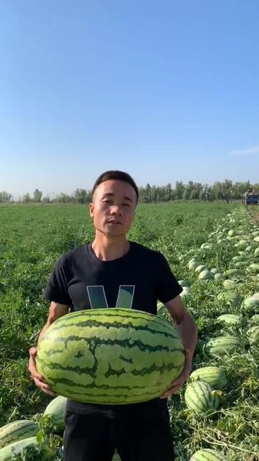 一个西瓜30斤正常吗