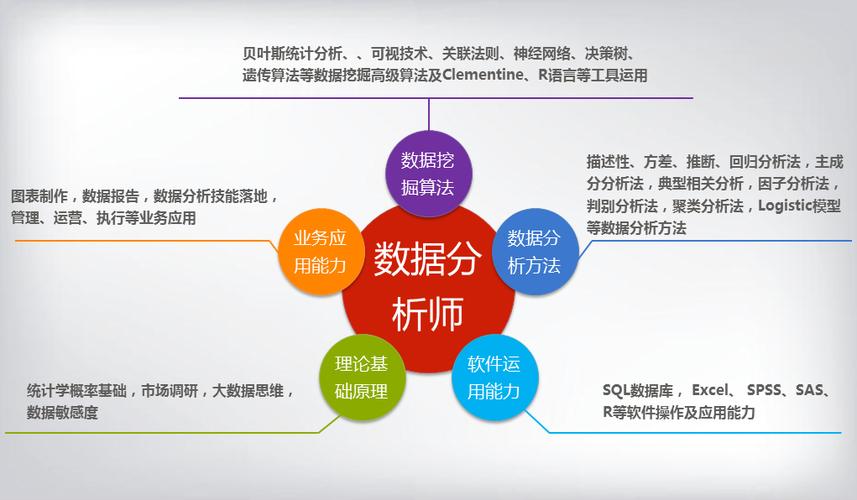 专业的数据分析师