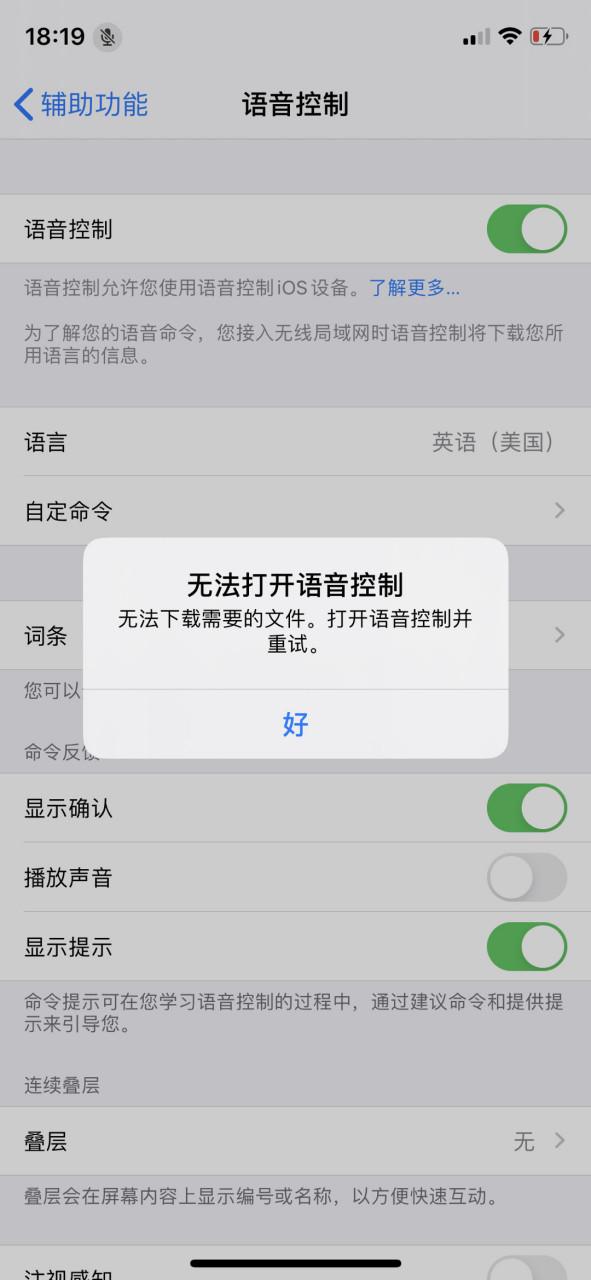 iphonex自动弹出语音控制