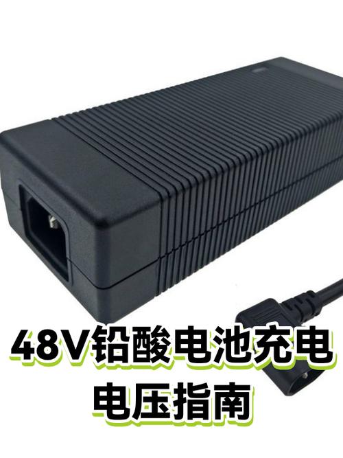 48v电瓶充电电压多少伏游戏截图