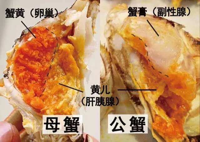 蟹女是渣女吗