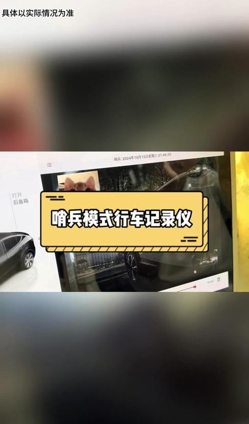 哨兵模式油车有吗?图标