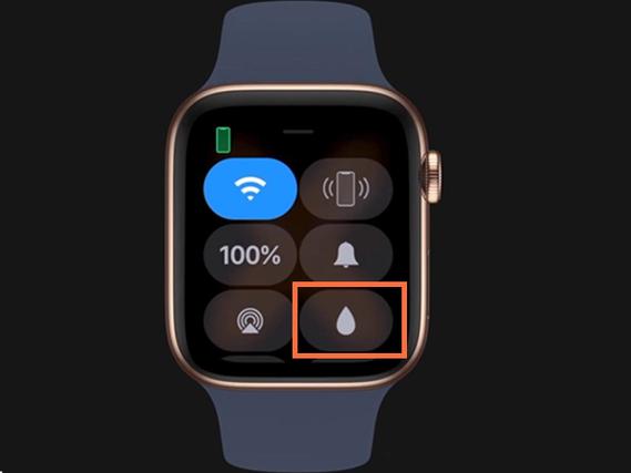 iwatch5旋转表冠水滴