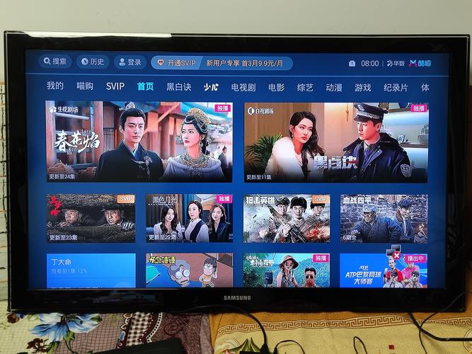 爱奇艺电视版本缩略图