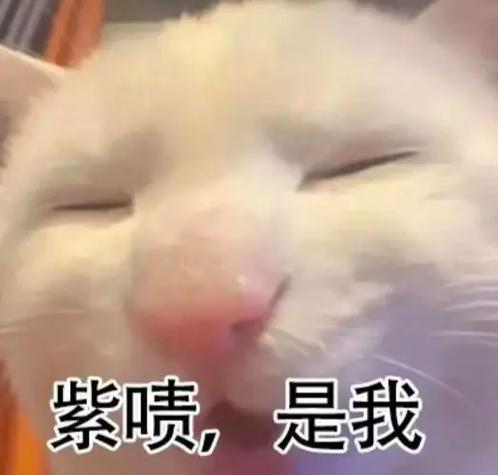 紫与褐表情包