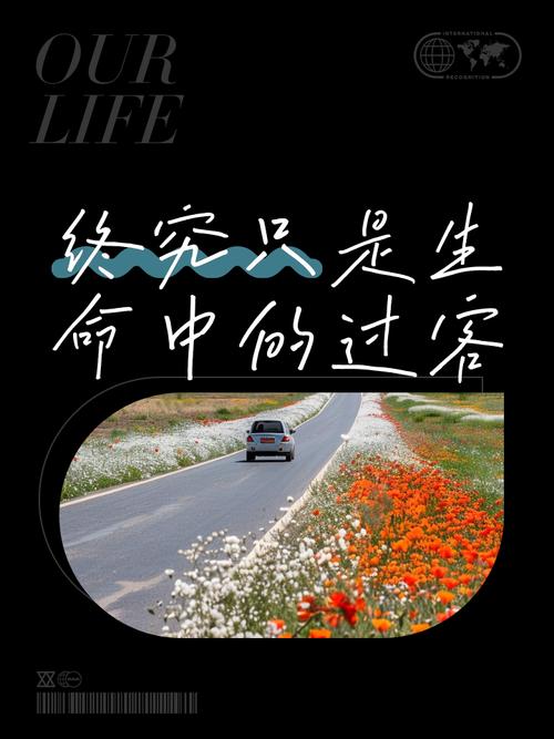 终究不是她的余生简初截图