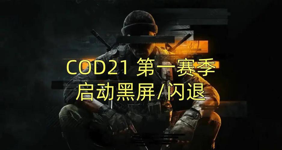 使命召唤手游一直黑屏怎么办