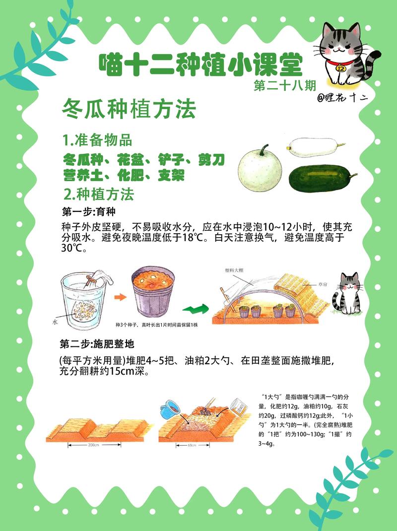 冬瓜如何种植最简单方法缩略图