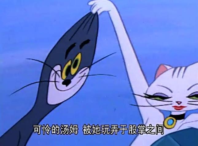 tom名字寓意缩略图