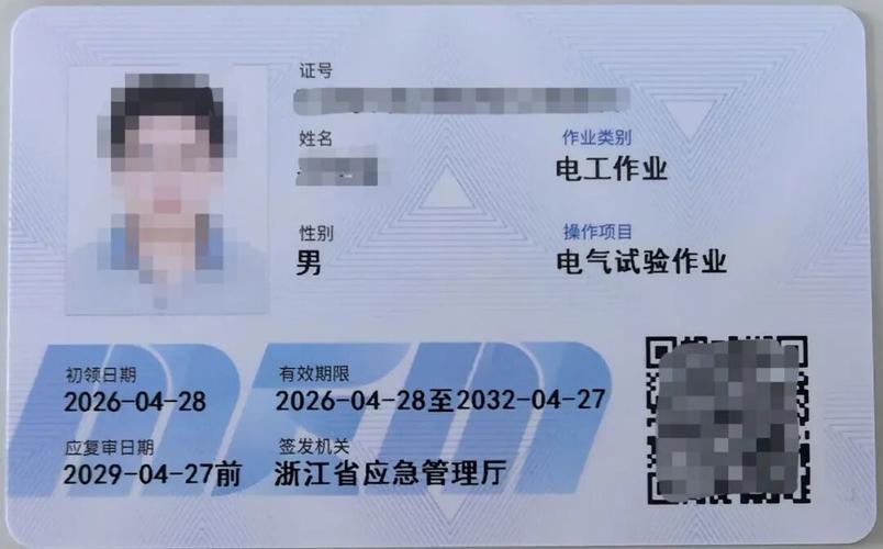 电工证60岁后不用审证吗游戏截图