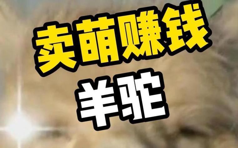 羊驼赚钱软件哪个好