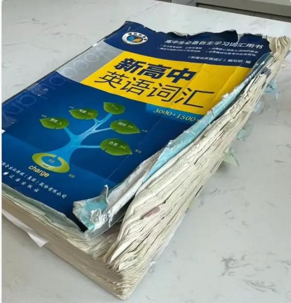 维克多英语下载图标