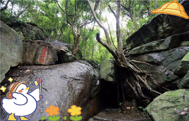 山山夹树连理结挂前锋