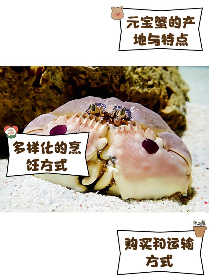金头拖进化螃蟹多少元宝